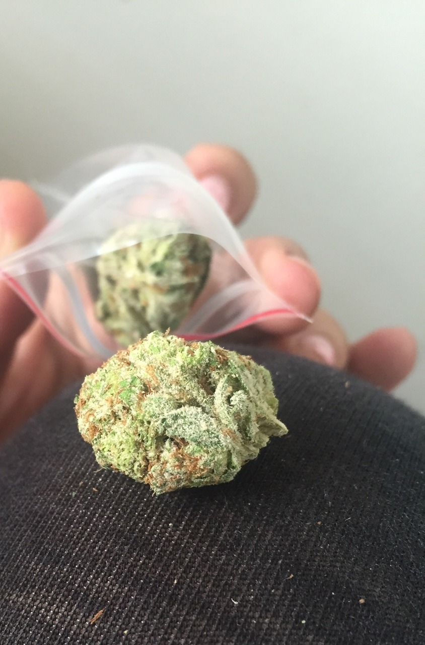 ♥cannablog♥