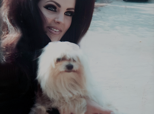 Priscilla Presley and Honey at 1174 Hillcrest Dr. in Beverly Hills, CA., c. 1968.