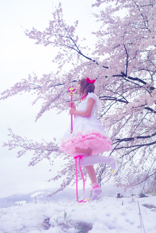 咲満桜８月１２日さくらちゃん❤️プール 撮影さんはTwitterを使っています 「カードキャプターさくらコスプレ 私の世界　 夢と恋と不安で出来てる ちいさな光だけど何時かは もっと もっと つよくな