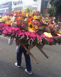 #feriadeflores2017 #desfiledelossilleteros