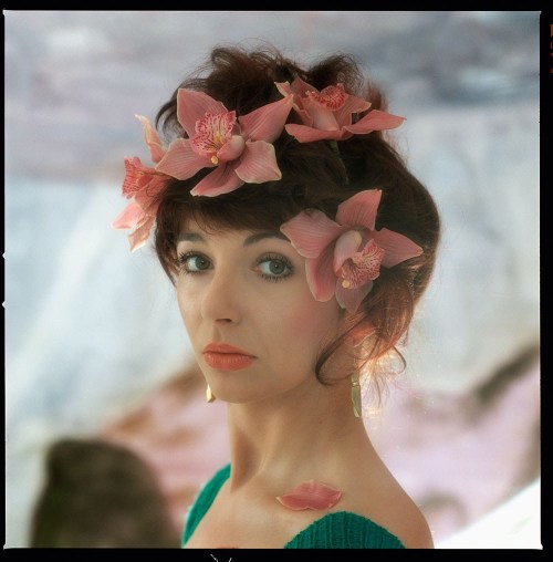 hyper-pop:  Unique and Unseen Photographs of Kate Bush shot by her brother, John Carder Bush.
