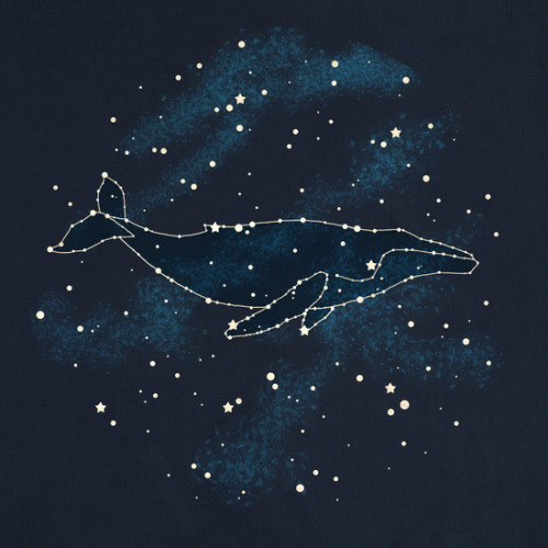 bestof-society6: ART PRINTS BY TERRY FAN Cosmic Butterfly Owl Constellation  Whale Constellatio