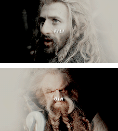 remusjohnslupin:  The Company of Thorin Oakenshield 