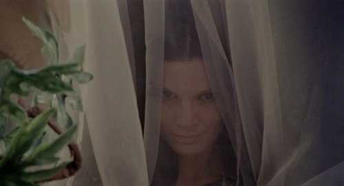 jacques-audiard:Indagine su un cittadino al di sopra di ogni sospetto (1970)