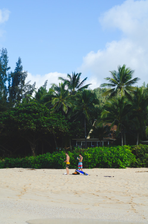 ashleydiscovers:  Beach Boys // ft. @adam-hawaii  ❁❁ tropical blog  ❁❁