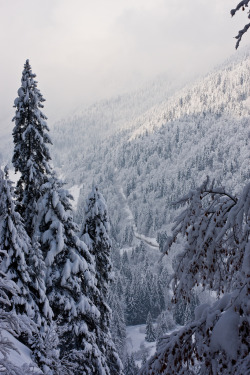 wonderous-world:  French Alps, France, Europe