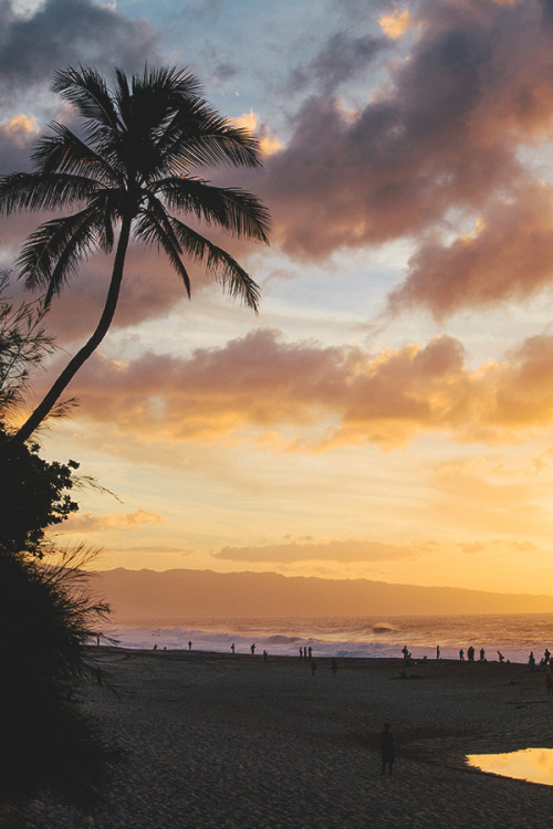 modernambition: Hawaii Sunset | WF