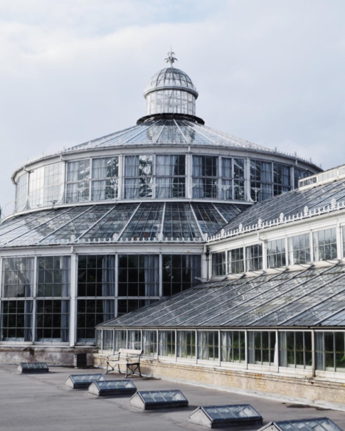 Botanisk Have (Botanic Garden), København, Danemark | susanoestdahl 