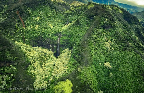vincentdewey: KauaiVincent Dewey Photography