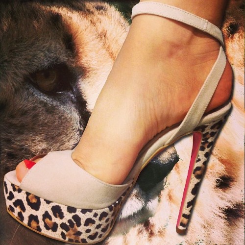 Cheetah phantasy print shoes by Altramarea #heels #sandali by @altramarea #shoes #saltoalto #scarped