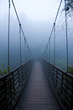 brutalgeneration:  Chi-Tou (Sitou), Taiwan by Angelo G. Noziglia on Flickr. 