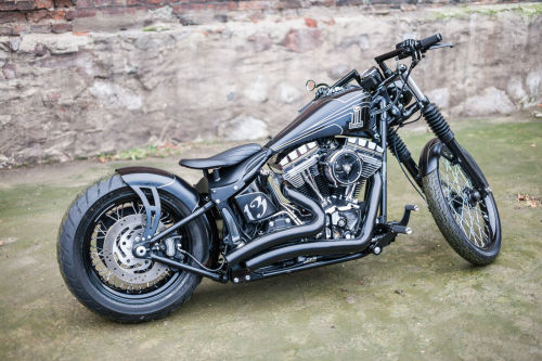 jd-kickdrum:  Softail   Datum!