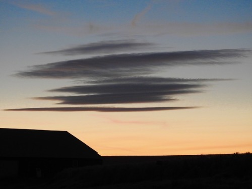 Roof meets horizon.