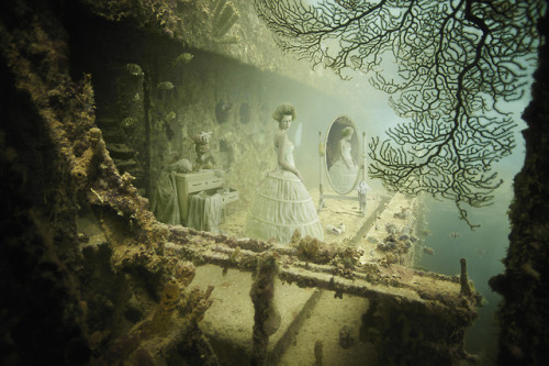 ohthentic:  carmidoll:  Andreas Franke  Oh 