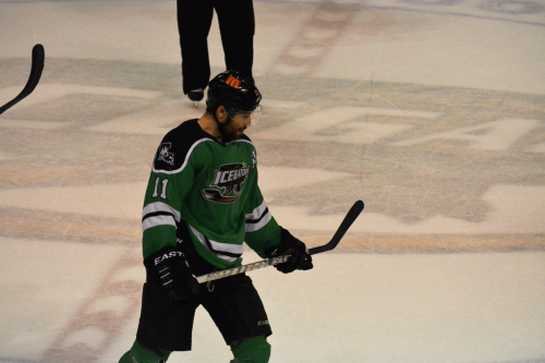 floofyfeather:  So along with video games and figure skating, I love hockey.  Louisiana Ice Gators v. Columbus Cottonmouths W 6-4 Jan. 2, 2015