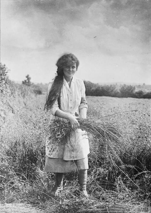 andenglishmen: A female farm worker pulling flax on a farm in Yeovil, Somerset.