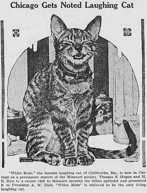 yesterdaysprint:Morton County Progress and Rolla Progress, Kansas, December 10, 1925