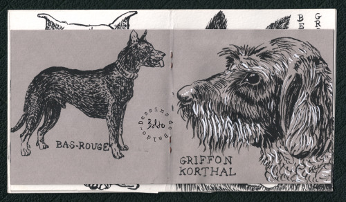 DES CHIENS Par Baldo, Cahier Maison Agraf 12 X14 Cm