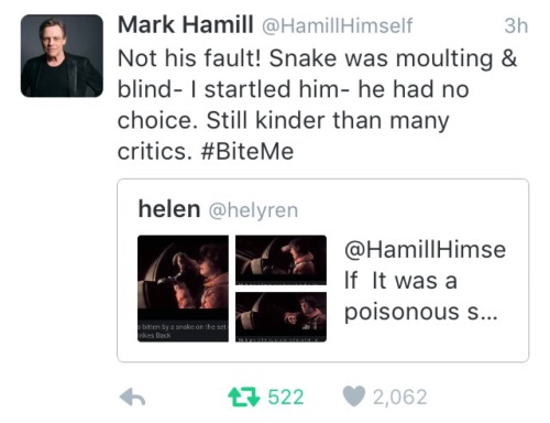 gayestluke:mark hamill defending a snake that bit him gives me all the strength i need tbh