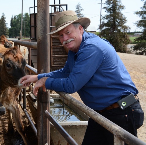 You see how that bull is pounding that heffer. That&rsquo;s how I&rsquo;m going to be poundi