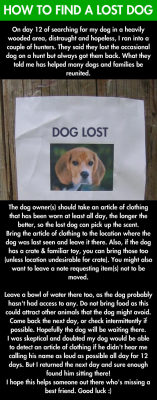 srsfunny:  If you lost your dog this is going