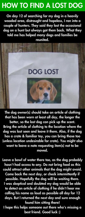hotdiggitydogblog:  d0gbl0g:  whoa this rules  I wonder if this would work on a pretty independent dog that loves to run. 