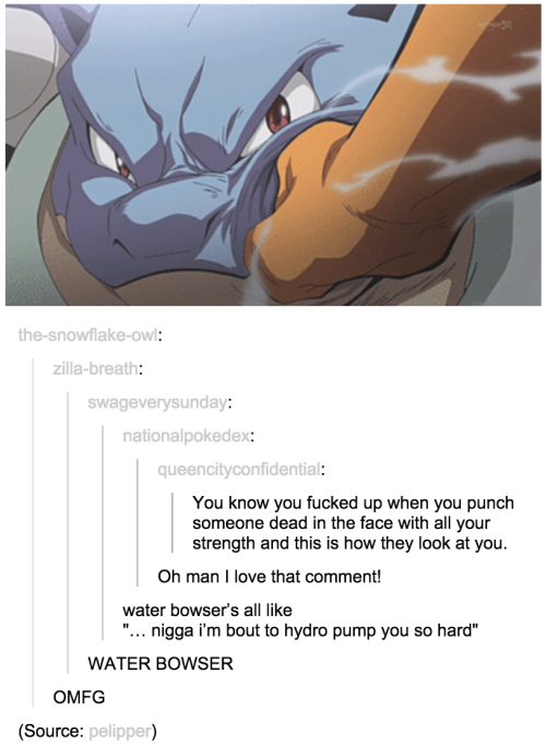 i-have-no-gender-only-rage:  Tumblr and pokemon. Part 2 3 4 5 6 7 8 