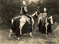 Skeleton Riders.