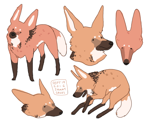 i could not resist the maned wolves