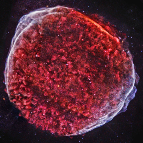 XXX infinity-imagined:  Supernova remnants imaged photo