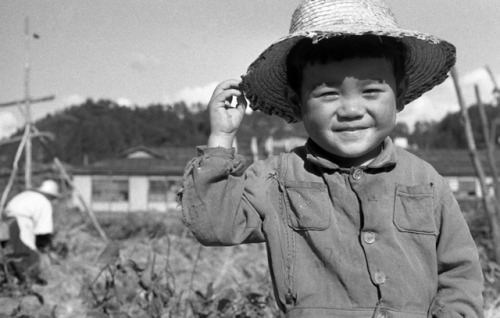 Estas fotografías de 1956, llenas de ternura y sensibilidad, me parecen el mejor modo de comenzar la