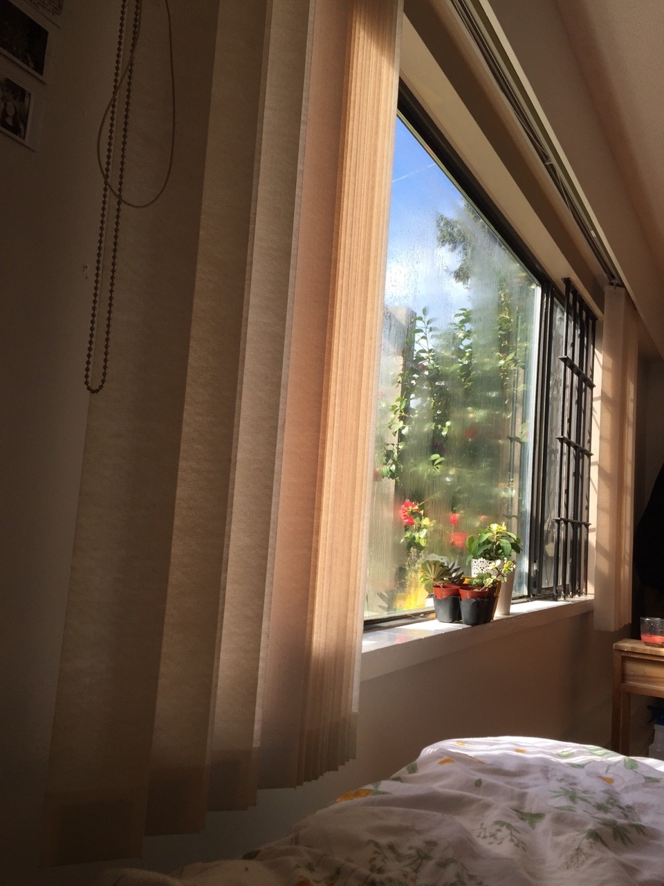 cloudiegirl:  Big windows ⛅️