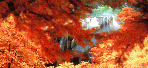 tohmura:  AUTUMN (秋)