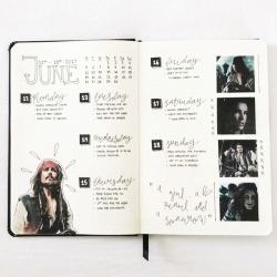 stvdybuddies: 06.14.17 || This week’s spread inspired by Pirates of the Caribbean!!  check out our insta: stvdybuddies 