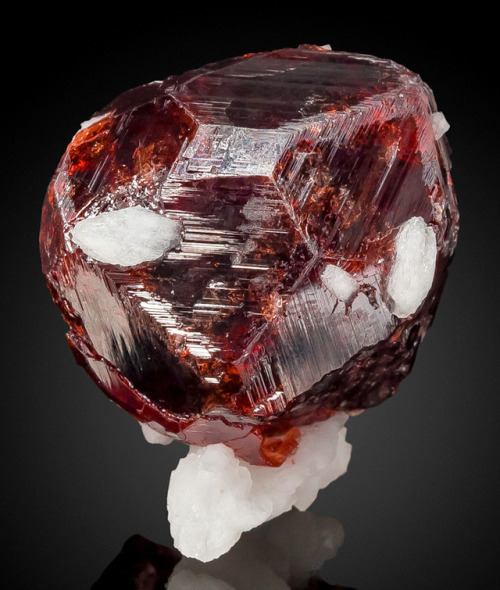 hematitehearts:Spessartine Garnet Crystals atop Albite MatrixLocality:  The Shigar Valley, Skardu Di