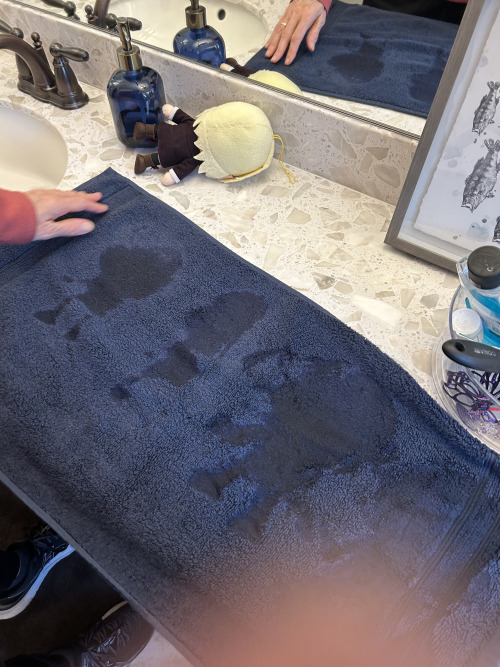 So Plushlois Is OKAY But He Had A Chemical Spill Mishap And Needed To Be Cleaned Off