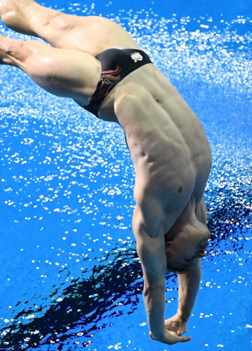 agjock: swimac25: silverskinsrepository: Jack Laugher swimming and diving all have great asses and b