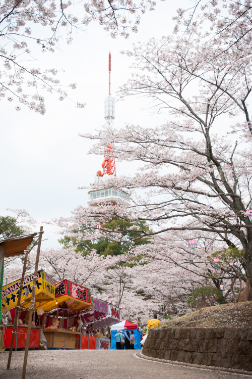 Utsunomiya Tower in Spring By : Wunkai