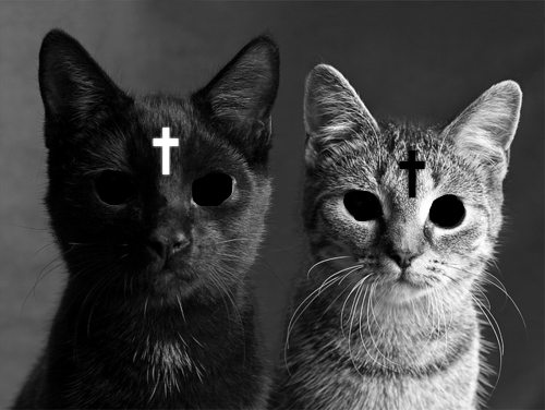 projectkillthemall:  Hmmm reminds me of my bro and I