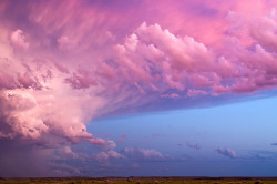 thespoonrooster:  Montana Sunset by brandonjpro.com on Flickr. Holy shit. A storm made a tornado then made these clouds.