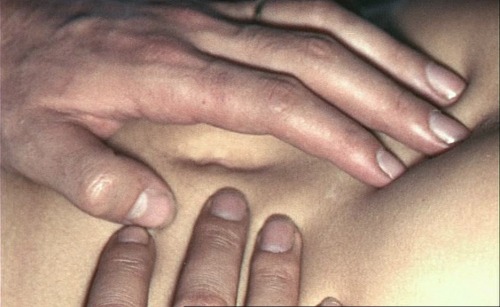 ff-ilm:Le Bonheur (1965) Agnès Varda