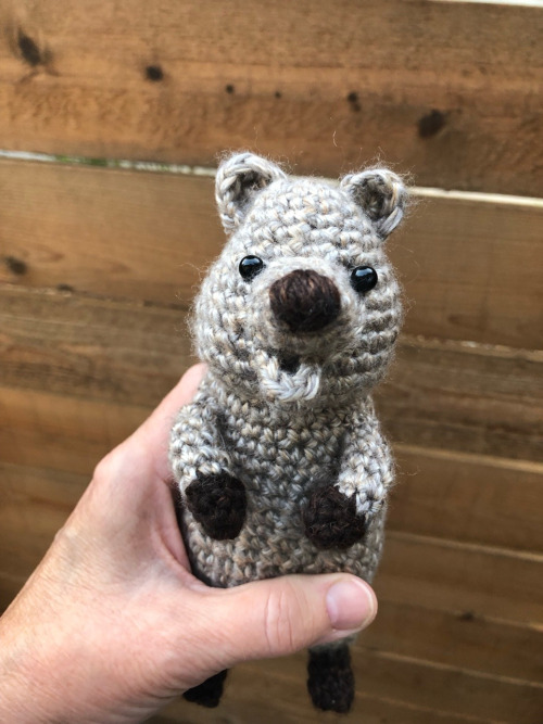 Dear Friends & Followers, I am auctioning this amigurumi quokka on Ebay to raise money to help w