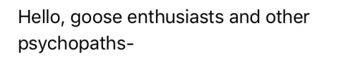 sabertoothwalrus:  maestrokitty:  disposablebicycle:  disposablebicycle:  disposablebicycle:  disposablebicycle:   disposablebicycle:   disposablebicycle:   Freelancing in technical theater means you’re on a lot of different email lists. People need