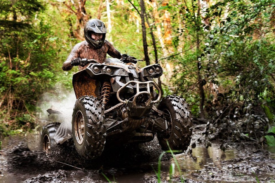 the-real-country-life:  Looks soooo fun!! 