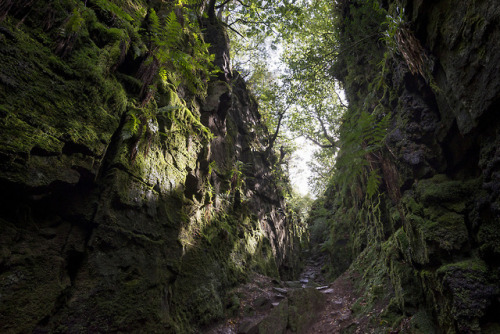 Luds Church, Gradbach, Staffordshire by Andrew Kearton calendars | prints | gettyimages | alamy