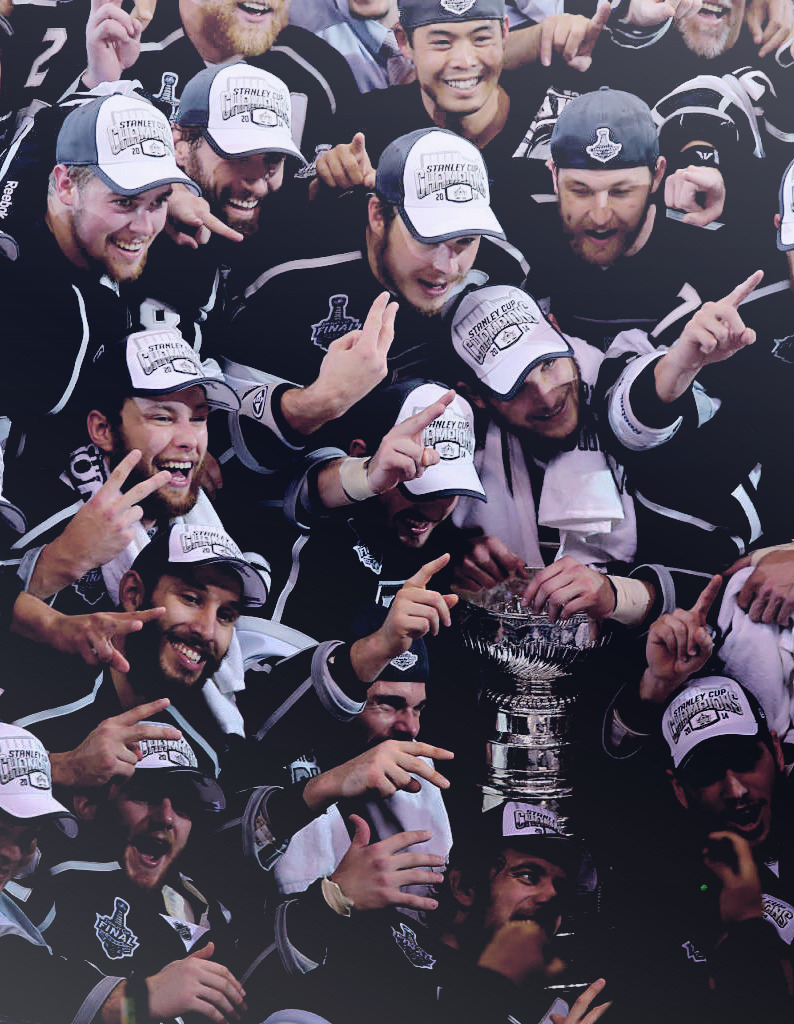 wintermonthnovelty-deactivated2: 2014 Stanley Cup Champions