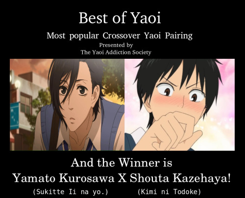 theyaoiaddictionsociety:  The Best of Yaoi (B.O.Y.) Awards 2014 We posted choices for 11 categories on our Facebook Page during December 2014 and Today, New Years Eve (December 31, 2014) we now announce the results. (Know these results were made after