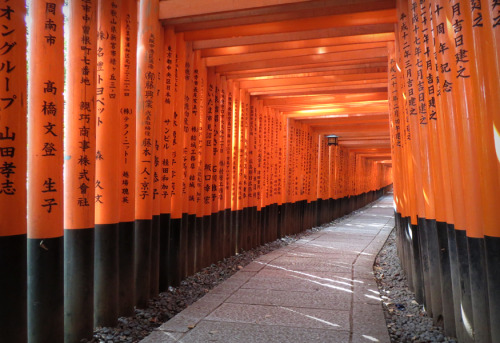 Na in het noorden van Kyoto te hebben gereisd zijn we in het zuiden naar Fushimi Inari Taisha gegaan