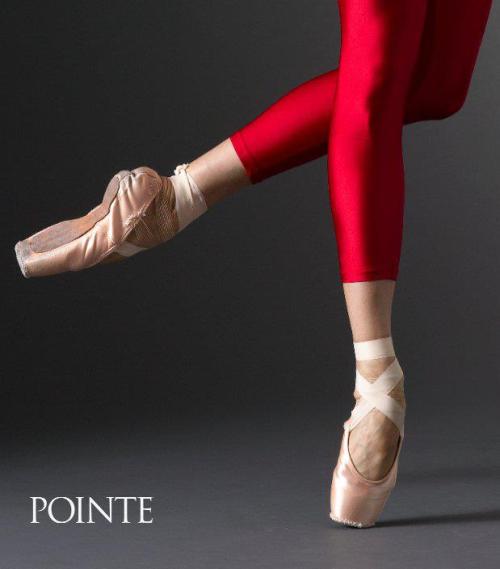 somaymalou:Alina Somova for Pointe Magazine [x] Photo: Nathan Sayers 