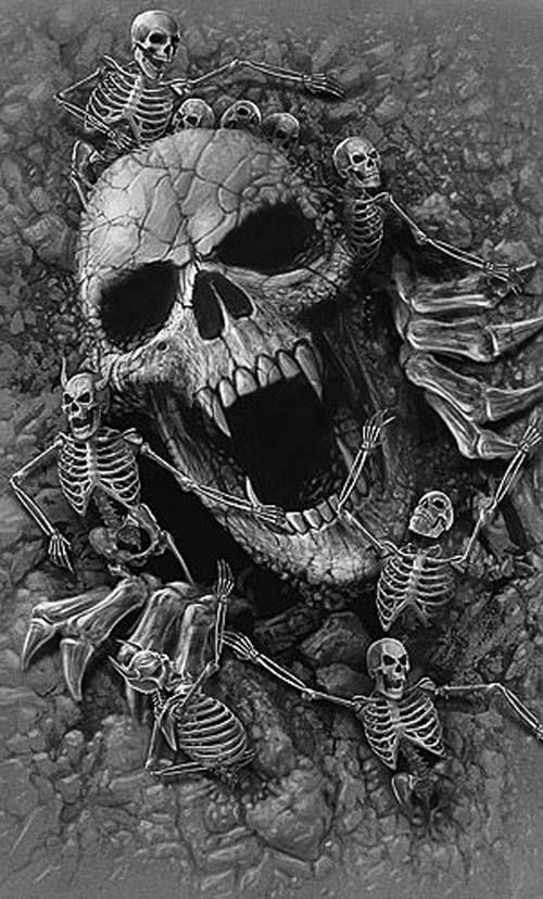 You should've seen the look on your skull.